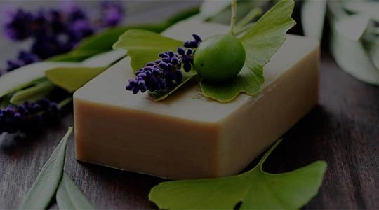 Check our special offers for you 